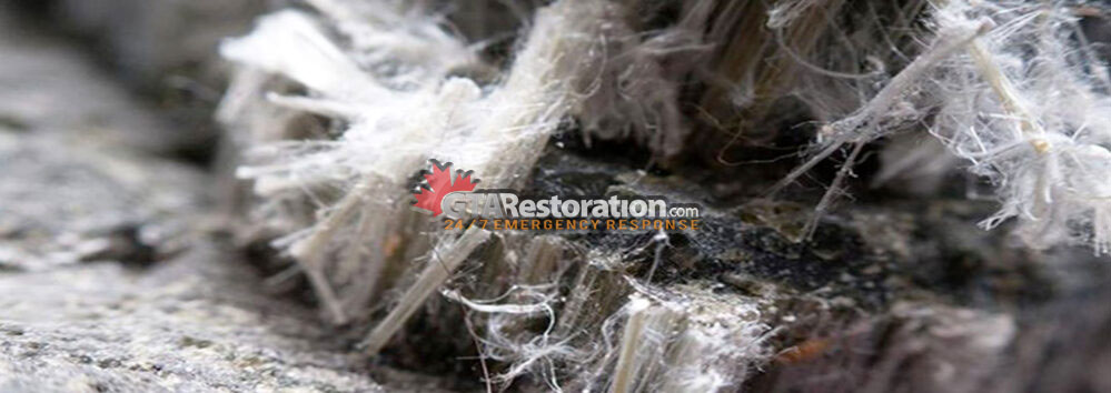 asbestos removal Edmonton , asbestos inspection Edmonton, asbestos cleanup Edmonton, asbestos test Edmonton, asbestos remediation Edmonton, asbestos testing Edmonton, mildew removal Edmonton , mildew inspection Edmonton, mildew cleanup Edmonton, Asbestos Removal And Asbestos Remediation Image, asbestos removal Edmonton , asbestos inspection Edmonton, asbestos cleanup Edmonton, asbestos test Edmonton, asbestos remediation Edmonton, asbestos testing Edmonton, mildew removal Edmonton , mildew inspection Edmonton, mildew cleanup Edmonton,