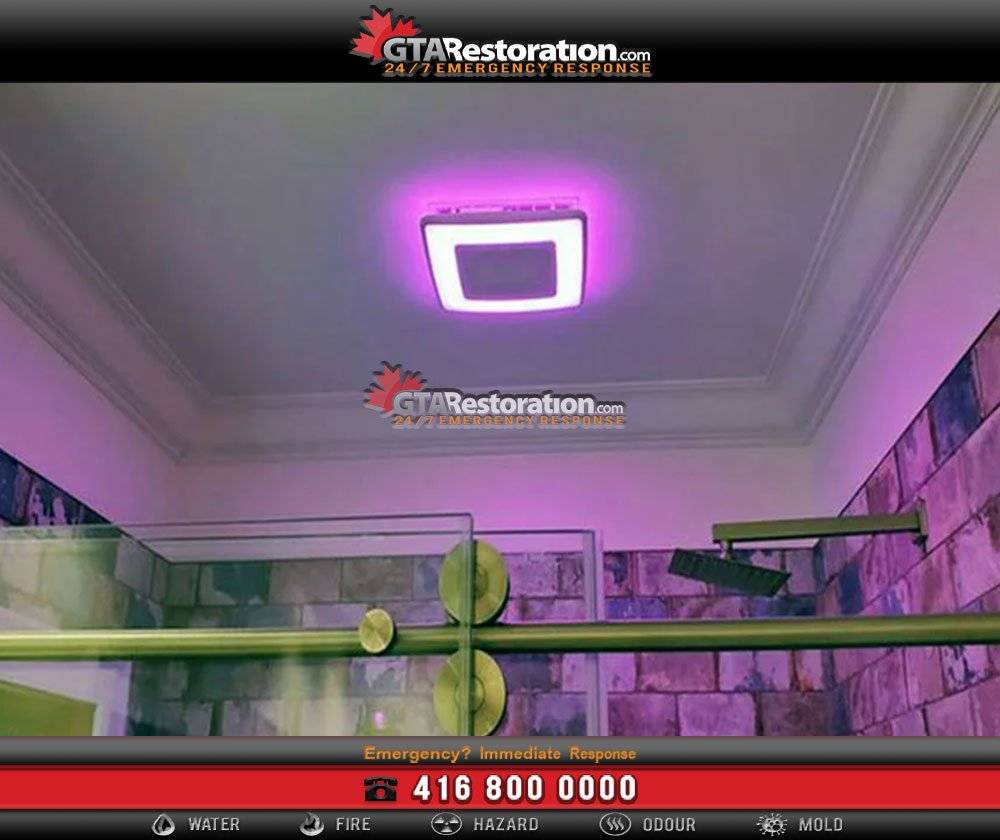 Avoid mold growth with proper bathroom ventilation