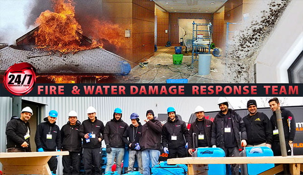 Commercial Restoration, Industrial & Residential Services Toronto Water Leak Detection, water damage restoration Toronto, emergency water damage Toronto, flood Cleanup, burst pipe Toronto, water damages Toronto, Toronto Biohazard Cleanup, Sewage Backup Cleanup, Restoration Toronto, Sewer Backup Cleanup Toronto, Flooded Basement Toronto, Flood Repair Toronto, Flood Damage Toronto, Burst Pipe Toronto, Pipe Burst Toronto, mold removal Toronto, mold inspection Toronto, mold cleanup Toronto, mold test Toronto, mold remediation Toronto, mold testing Toronto, mildew removal Toronto , mildew inspection Toronto, mildew cleanup Toronto, Commercial Restoration, Industrial & Residential Services Toronto Water Leak Detection, water damage restoration Toronto, emergency water damage Toronto, flood Cleanup, burst pipe Toronto, water damages Toronto, Toronto Biohazard Cleanup, Sewage Backup Cleanup, Restoration Toronto, Sewer Backup Cleanup Toronto, Flooded Basement Toronto, Flood Repair Toronto, Flood Damage Toronto, Burst Pipe Toronto, Pipe Burst Toronto, mold removal Toronto, mold inspection Toronto, mold cleanup Toronto, mold test Toronto, mold remediation Toronto, mold testing Toronto, mildew removal Toronto , mildew inspection Toronto, mildew cleanup Toronto,