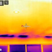 Flir0103