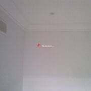 Flir0108