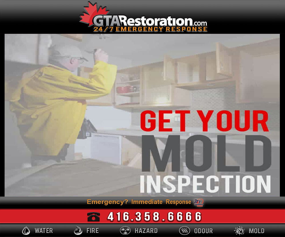Toronto Mold Inspection