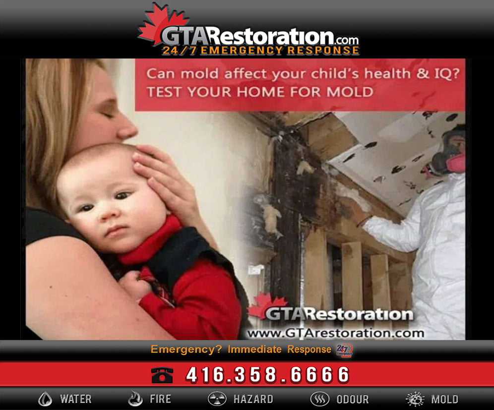 Home mold testing can give you peace of mind