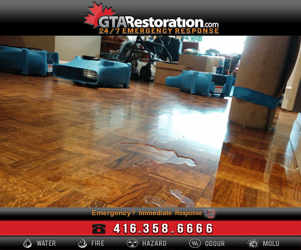 What To Do If You Have Water Damage in Toronto