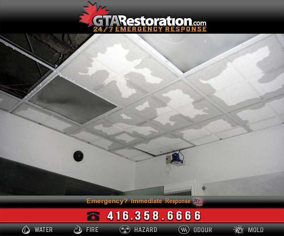 How To Deal With Flood and Water Damage?