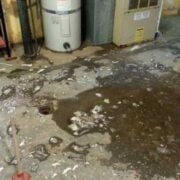 Sewage Cleanup Remediation Toronto