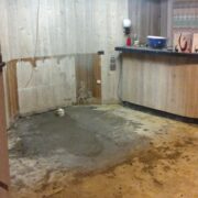 Sewer Backup Basement Remediation Toronto