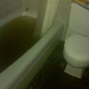 Bathroom sewage Toronto Backup Remediation