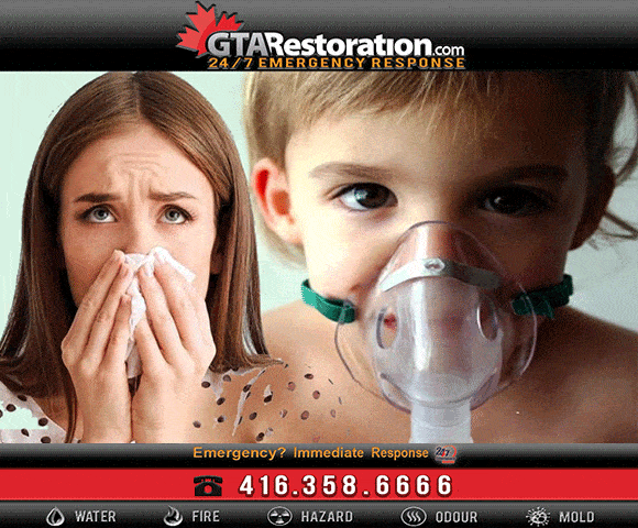 BLACK MOLD HEALTH ISSUES