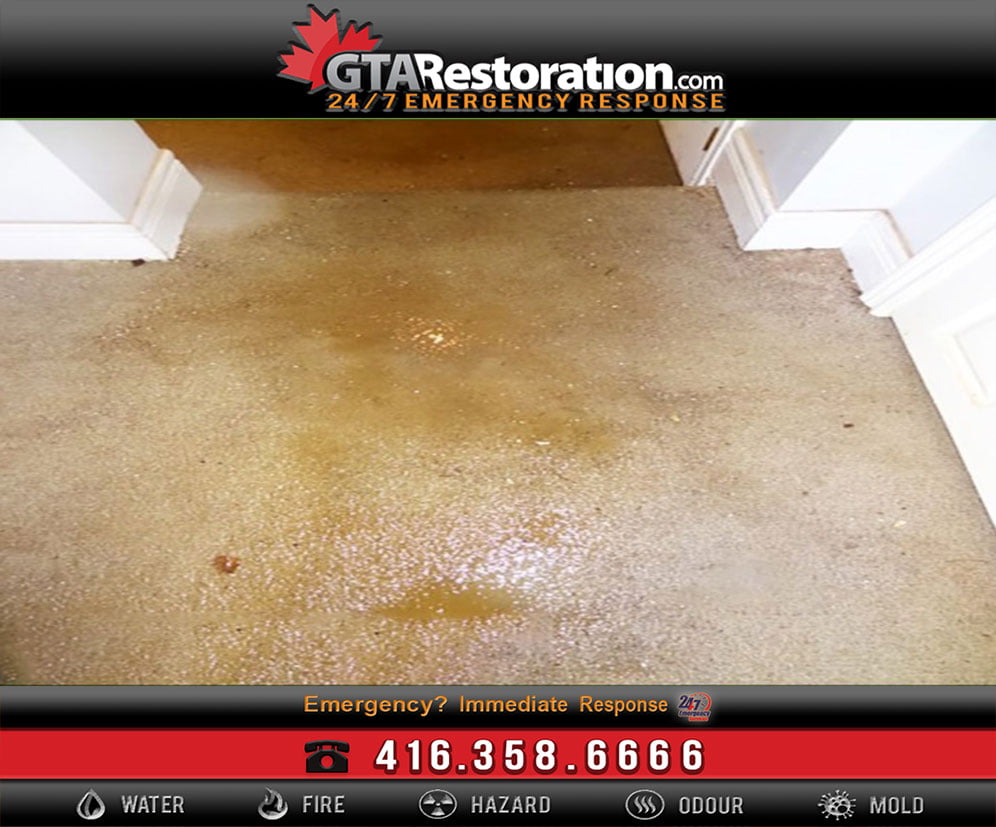 How to deal with carpet water damage?