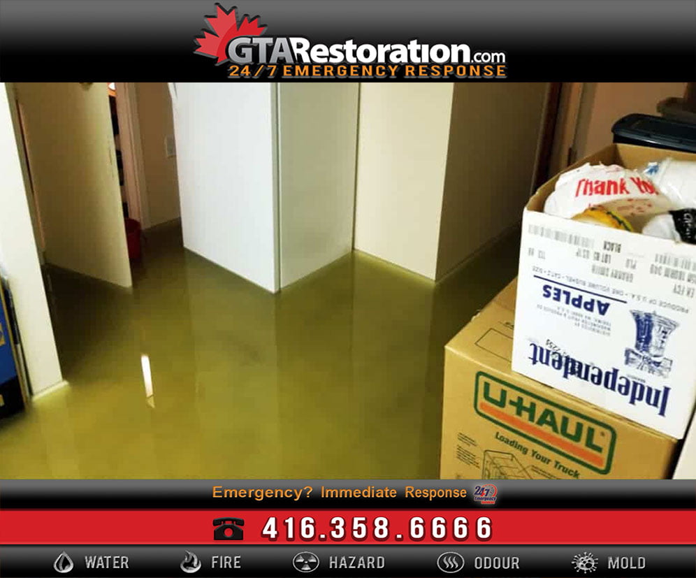 floodings-1024x922-2674683
