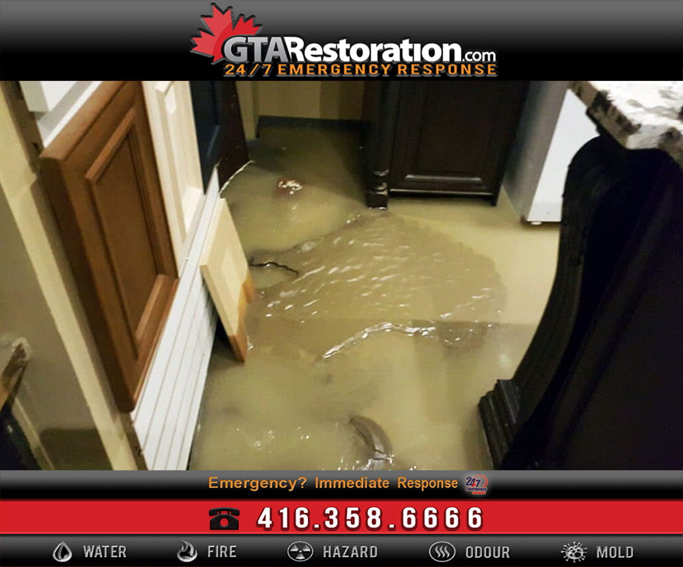 5 Water Damage Restoration Tips