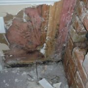GTA Restoration mold Removal remediation service