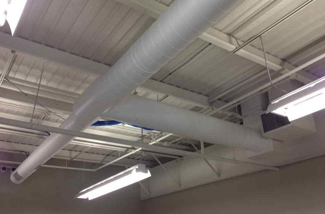 toronto mold removal