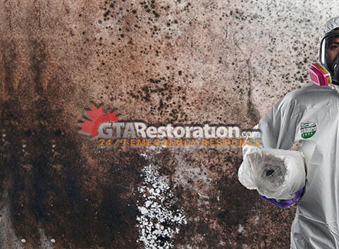 mold removal Ottawa , mold inspection Ottawa, mold cleanup Ottawa, mold test Ottawa, mold remediation Ottawa, mold testing Ottawa, mildew removal Ottawa , mildew inspection Ottawa, mildew cleanup Ottawa, mold removal Ottawa , mold inspection Ottawa, mold cleanup Ottawa, mold test Ottawa, mold remediation Ottawa, mold testing Ottawa, mildew removal Ottawa , mildew inspection Ottawa, mildew cleanup Ottawa,