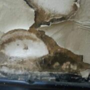 Mold Removal Remediation in Toronto