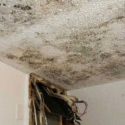 Photo showing extensive mold growth on the ceiling of a room with visible damage to the adjoining wall and exposed wiring, indicating the need for flood restoration.