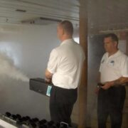 mold removal toronto