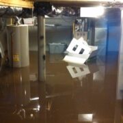 Flood Restoration services in Newmarket