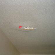 North York Roof Water Damage