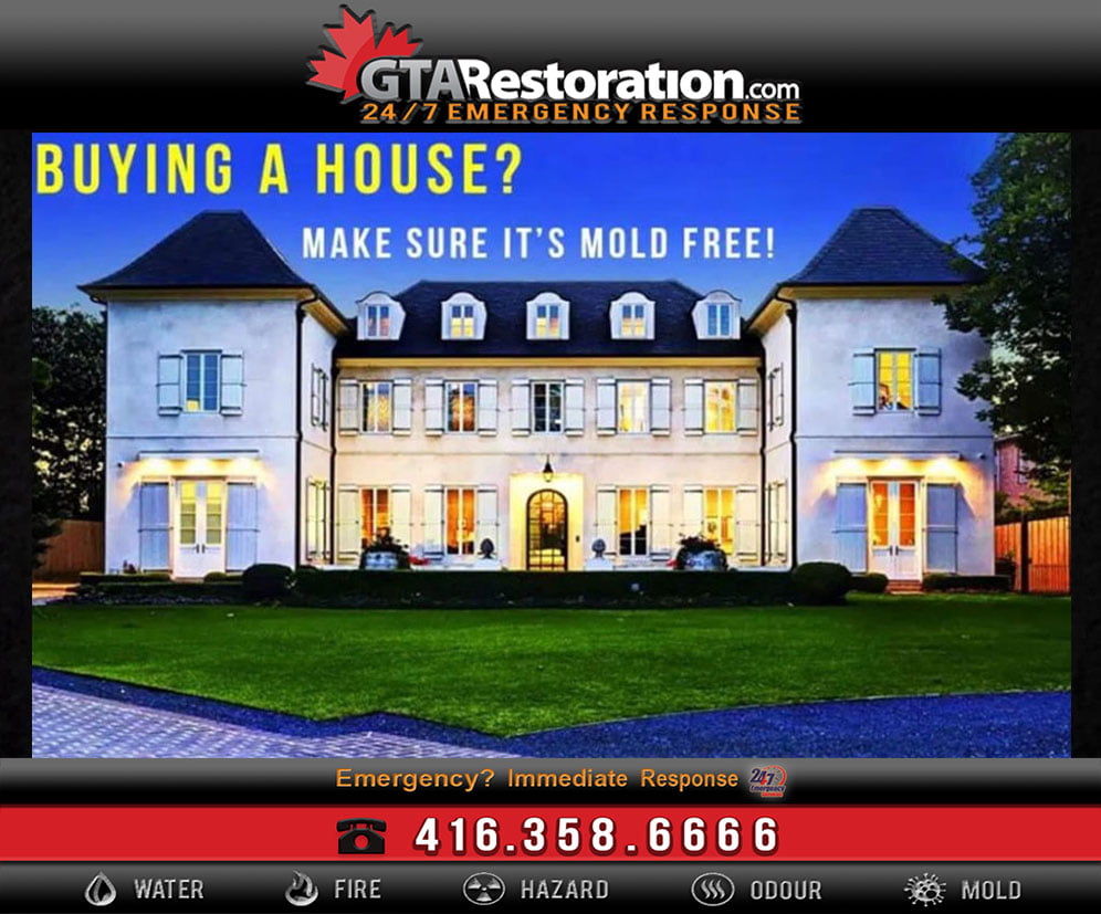 Real Estate Toronto: Mold & Water Damage Home Inspection
