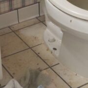 Sewage Backup Cleaning Toronto Backup Remediation