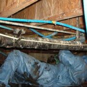 Sewage Backup Cleanups Toronto Remediation