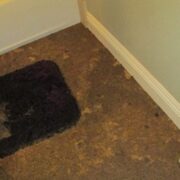 Sewage Backup Toronto Remediation