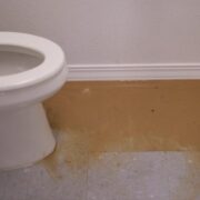 Sewage Bathroom Toronto Clean Remediation