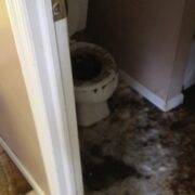 Cleaning Toronto Backup Cleanup Remediation