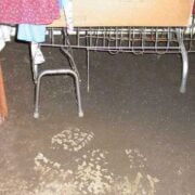 Toronto cleanup service, Cleanup Remediation