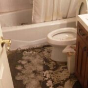Sewage Cleaning Services Toronto, Backup Cleanup Remediation