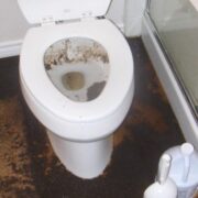 Backup Cleaning Toronto Backup Cleanup Sewer Remediation