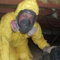 Sewer backup Toronto, Cleanup Remediation