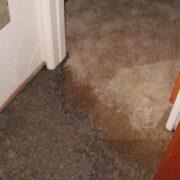 Cleaning Toronto, Backup Cleanup Remediation