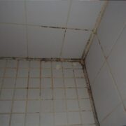 Shower Mold Removal Toronto