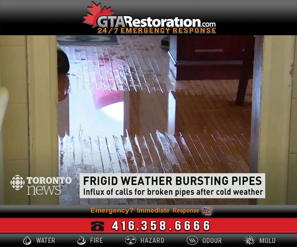 Top 5 Best Water Damage Service Providers in Toronto!