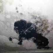 Toronto mold remediation