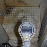 GTA Restoration mold removal Toronto