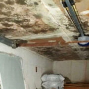 Toronto mold removal