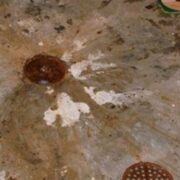 Toronto sewage services Backup Remediation